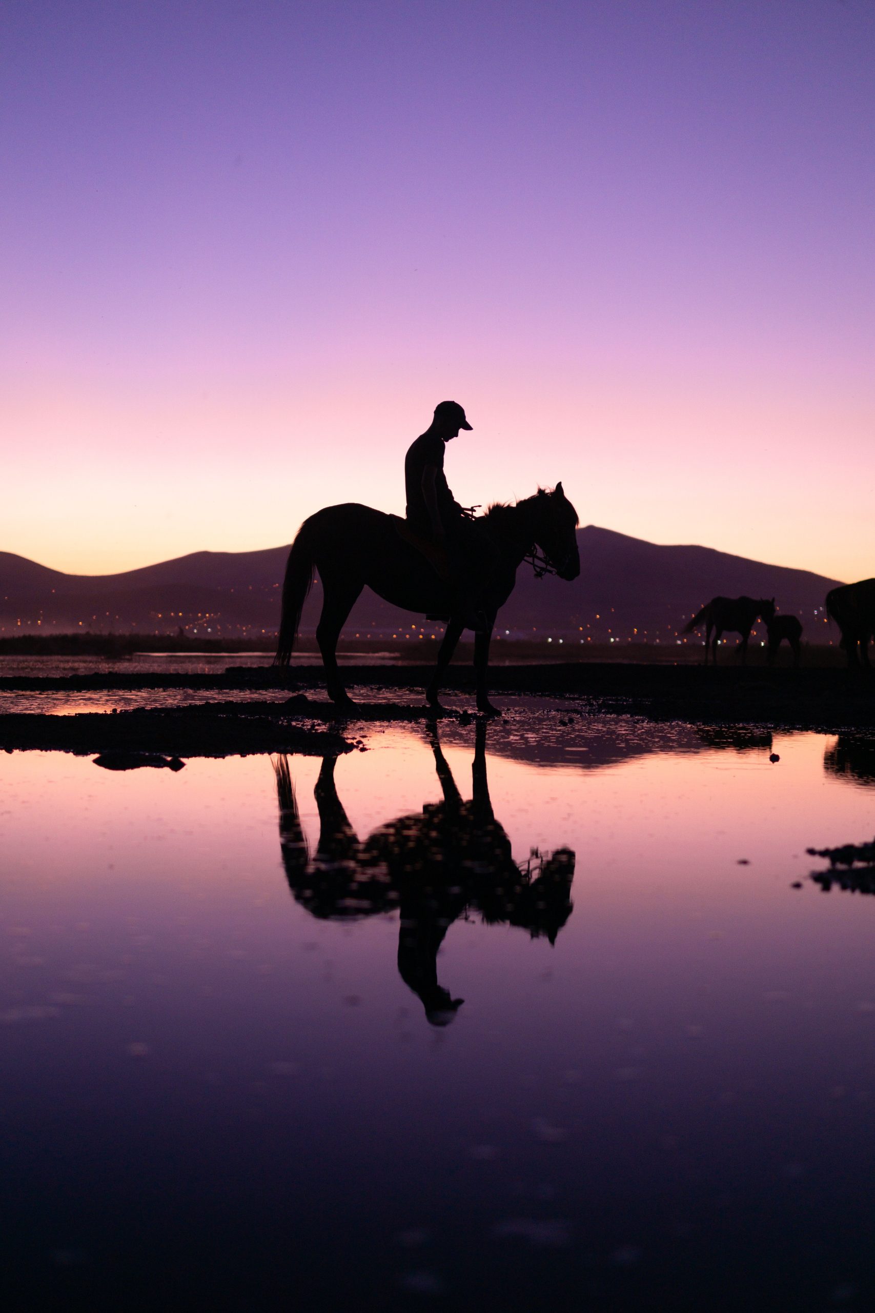 brogini riding boots wide calf